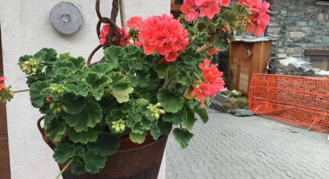 Коттедж Maison Cassius