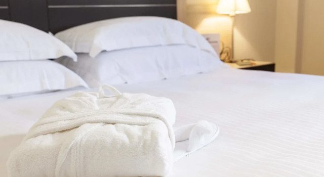 Superior- dobbelt værelse med byudsigt BV President Hotel
