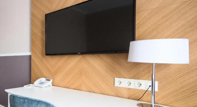 Номер Economy Modern Art Hotel - Maestro