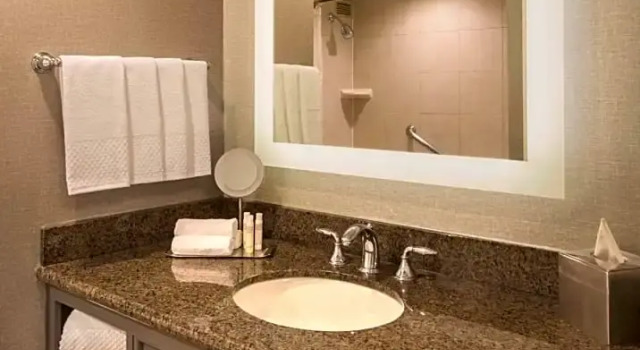 Номер Allergen friendly DoubleTree by Hilton Austin