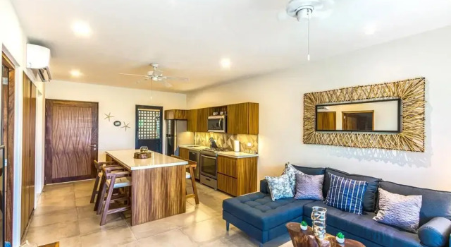 Agaves 204