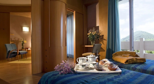 Полулюкс с балконом Termeterna Longevity Spring Resort