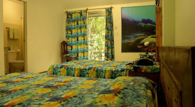 Pacific Treelodge Resort, Reservar Resort Resorts em Kosrae, Resort