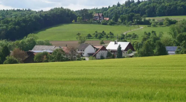 Студия Bolderhof