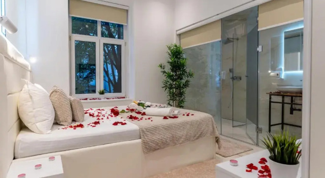 Двухместный люкс Deluxe Alex Central Apartments