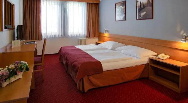 Habitación individual Estándar Hotel Globus