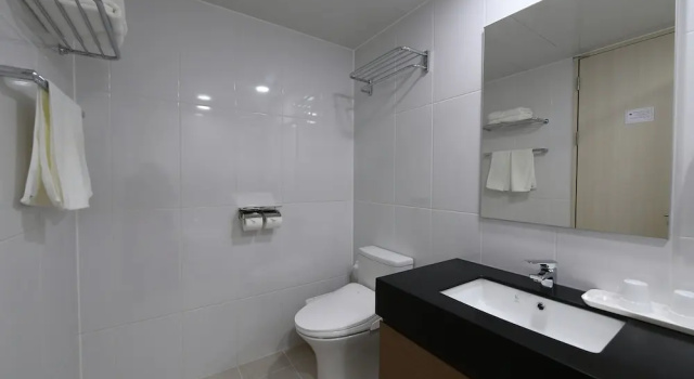 Трёхместный номер Standard Toyoko Inn Changwon