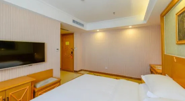 Люкс Vienna Hotel