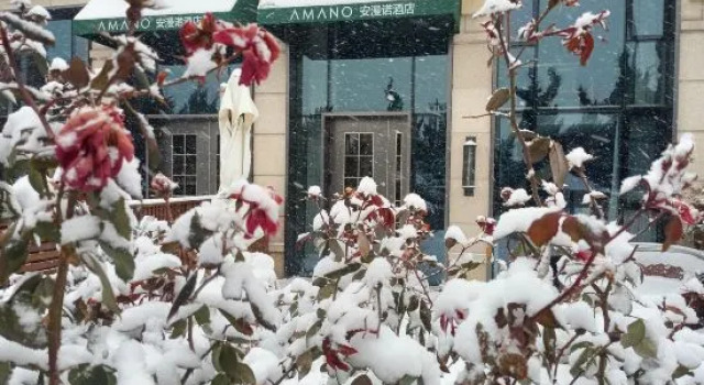 Dalian Amano Villa, Book Villa Sommerhuse i Liaoning, Hytte