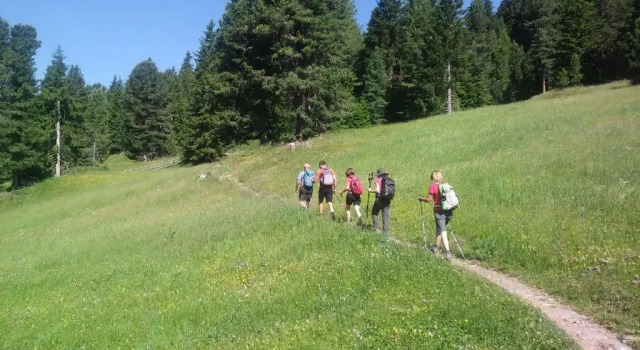 Апартаменты Ai Piedi della Marmolada