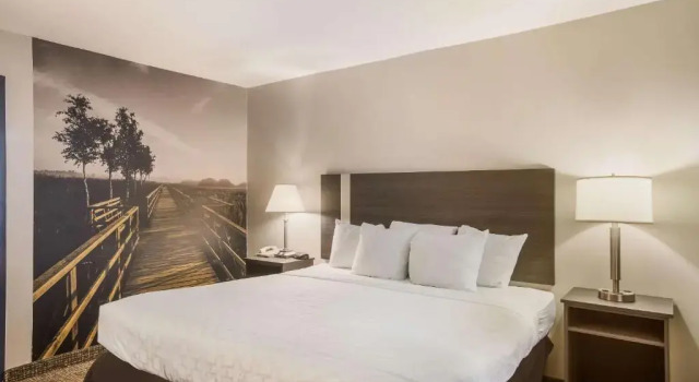 Номер Standard Clarion Pointe Forsyth I-75