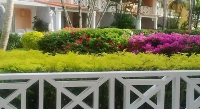 Номер Superior Coco Reef Resort & Spa