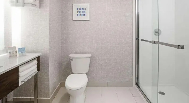 Двухместная студия Hampton Inn Richmond/Midlothian Turnpike