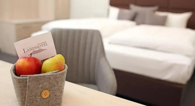 Двухместный номер Economy Landhotel Potsdam