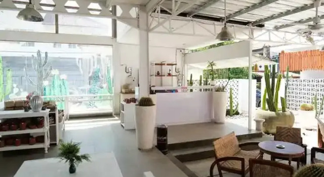 Cactus Guest House Borobudur