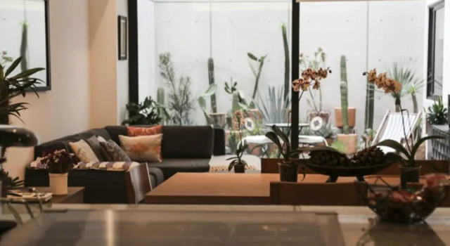 Cactus Private Terrace by Mr.W
