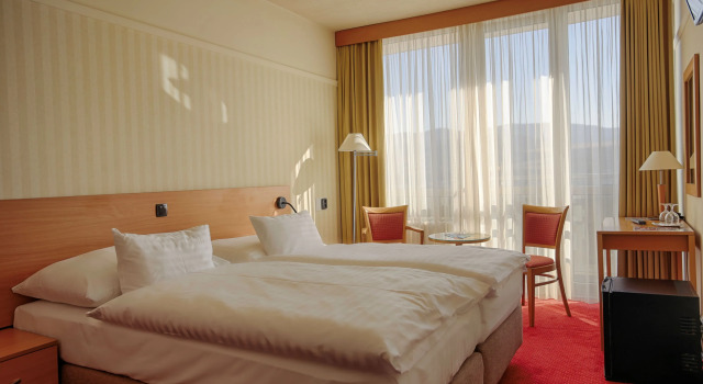 Двухместный номер Superior Ensana Esplanade