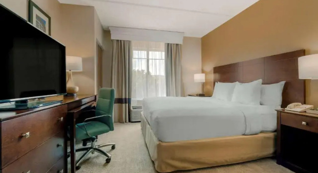 Номер Standard Comfort Suites Near Universal Orlando Resort