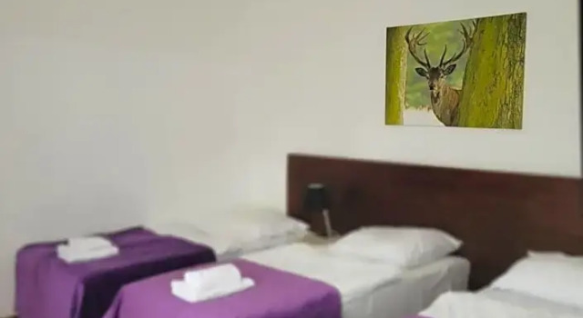 Трёхместный номер Standard Boutique Eco Hotel Sasanka