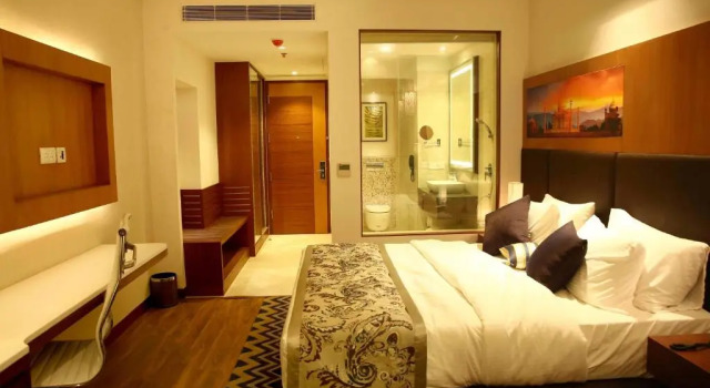 Номер Standard The P L Palace Agra
