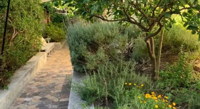 Courtyard Studios (with air conditioning)
