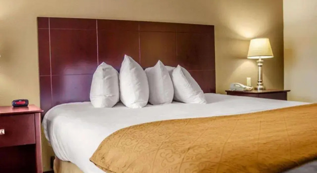Номер Standard Quality Inn Waterbury East