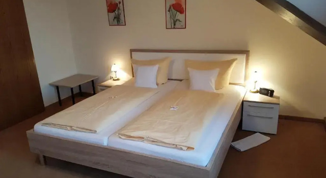 Двухместный номер Standard Landhaus Haus am Berg