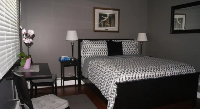 Двухместный номер Classic Stardust Inn and Chalets