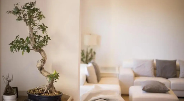 Апартаменты Deluxe La Rosa dei Sensi Luxury Villa Apt 1