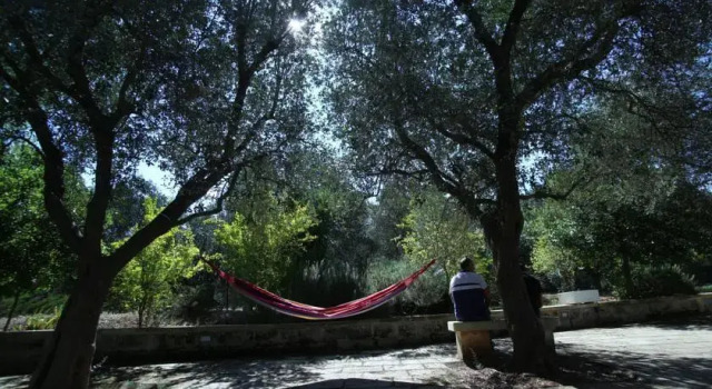 Country house La Brancaccia