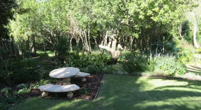 Студия 33 Strawberry Lane - Studio and Cottage
