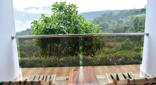 Номер Standard Chimpanzee Lodge