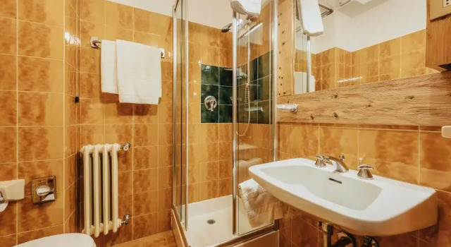 Номер Economy Hotel Menardi