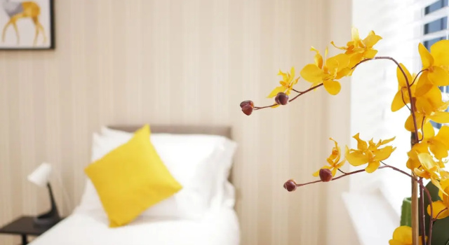Апартаменты The Elm Serviced Apartments