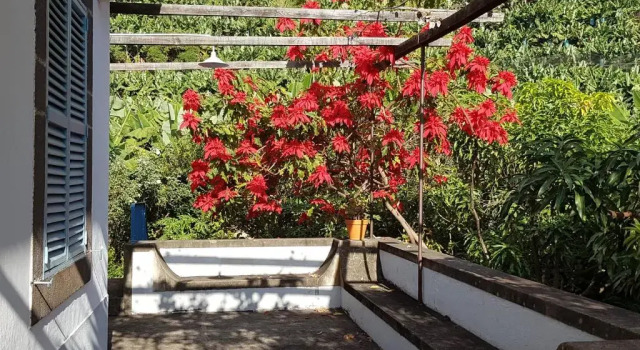 Коттедж с 4 комнатами Casa da Madalena do Mar