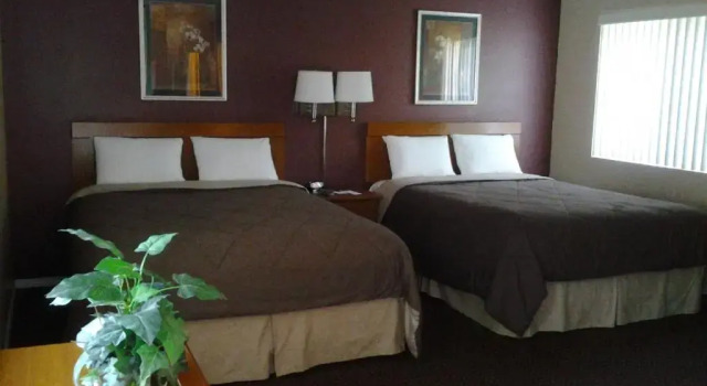 Четырёхместный номер Standard Maple Leaf Motel