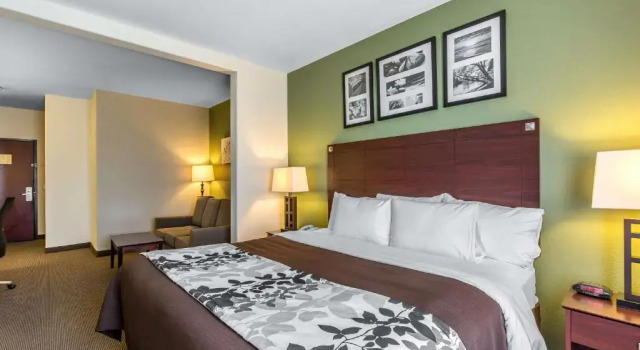 Люкс Sleep Inn & Suites Bush Intercontinental - IAH East