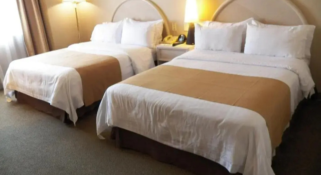 Четырёхместный номер Standard Holiday Inn Leon - Poliforum by IHG