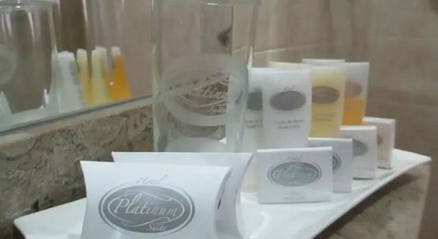 Двухместный номер Standard Hotel Platinum Suite