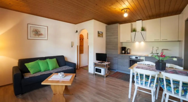 Mountainview Appartement mit Balkon und Carport, Забронировать Апартаменты/квартира Апартаменты Флахау, рядом с Гондольный подъемник Ахтер Джет, Апартаменты/квартира
