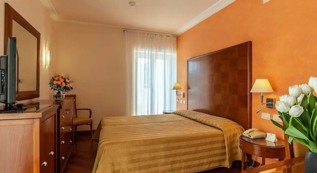 Двухместный номер Standard Versilia Palace Hotel