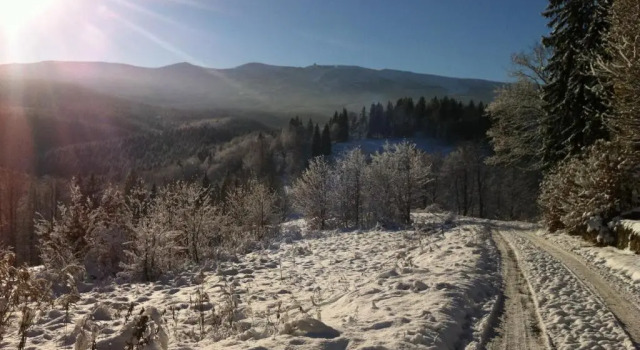 Номер Standard WERANDA z widokiem na Karkonosze
