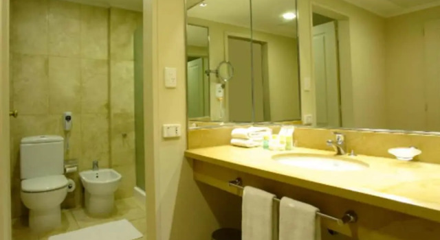 Двухместный люкс Austral Plaza Hotel