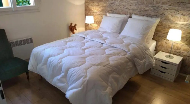 Blagnac : appartement T2 avec jardin, parking et climatisation, Rezervasyon Daire Blagnac 