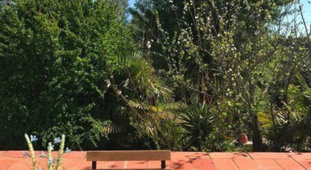 Studio Oliveira Comfortable for two People, Prenota Casa vacanze Cottage a Quelfes, Cottage