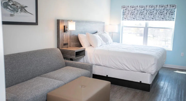 Suite The Nest