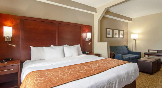 Comfort Suites Knoxville Airport, Забронировать Отель Алкоа Great Smoky Mountains National Park