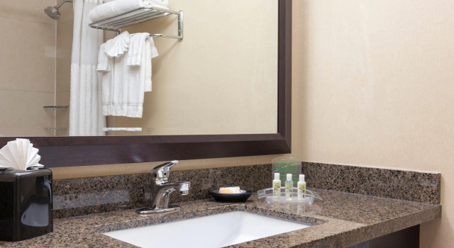 Номер Standard Holiday Inn Chicago - Elk Grove
