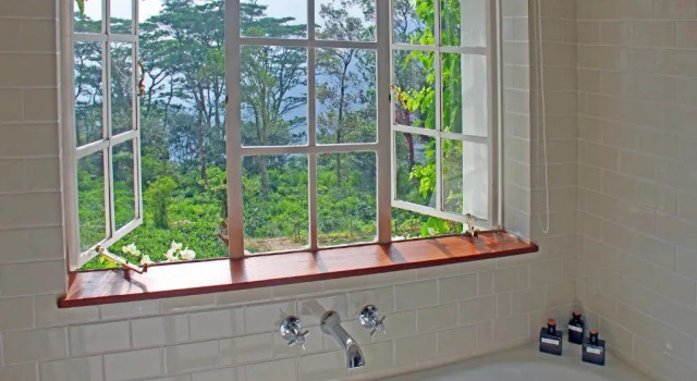 Номер Standard The Planters House