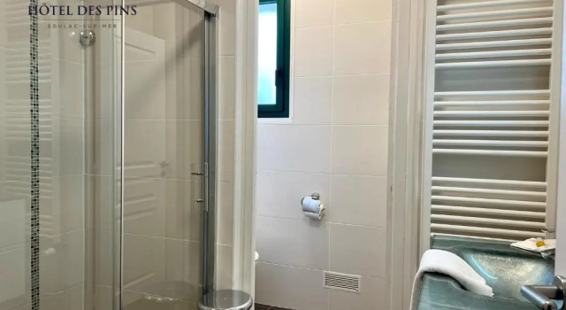 Двухместный номер Comfort Hotel des Pins